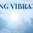 111HZ Divine Healing Frequency MeditationClear All Negative Energy Stress Relief And Inner Peace