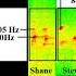 Bigfoot Sounds Recorded With Spectrograph Comparison Washington State New Sasquatch Recording