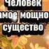 мудрость жизнь цитаты цитатыпрожизнь мотивация любовь Youtube Youtubeshorts Ytshorts