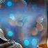 12 Hours The Sound Of Inner Peace 8 Relaxing Music For Meditation Zen Yoga Stress Relief