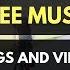 Free Music For Vlogs Flero Le Jazz Café