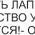 Вы мне чужие люди Наложить лапы на мое имущество у вас не получится ответила бывшая невестка