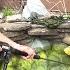 How An Algae Infested Koi Fish Pond Is Deep Cleaned Deep Cleaned Insider