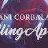 Dani Corbalan Falling Apart Official Music Video