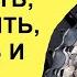 Как снять полностью разобрать почистить смазать и собрать трещотку велосипеда