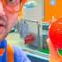 Blippi Visits A Childrens Museum 1 HOUR OF BLIPPI Science Videos For Toddlers Blippi Toys