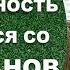 Рентабельность начинается со 100 баранов