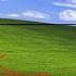 1LACHS Roblox Mind Murder Place