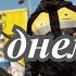 С днем нефтяника