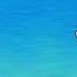 One Piece Ending 02 RUN RUN RUN By Maki Otsuki