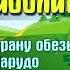 Доктор Айболит часть 1 Путешествие в страну обезьян глава 10 Подвиг Карудо Аудио сказка