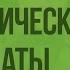 Географическая широта и географическая долгота Географические координаты Видеоурок по географии