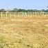 One Acre Land For Sale 6 KM From Bangalore Highway Contact 8247495388 Propertizone Landforsale