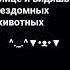 когда идёшь по улице и видишь бездомных животных