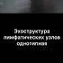 узи лимфатическиеузлы
