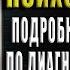 Детская психосоматика Подробное руководство по диагностике и терапии Геннадий Старшенбаум Книга
