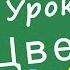 Учим цвета Урок 1 Развивающее видео для детей раннее развитие ребенка