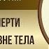 Жизнь после смерти Чем занята душа вне тела Анна БОГАТА