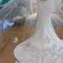 In LOVE With A Long Veil