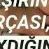 övlada Aid Vidyo