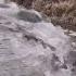 Magic Valley Fish And Game Stock Trout At Balanced Rock Park