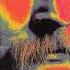 Hero David Crosby Cover Visit Lady Leo Https Www Youtube Com C LadyLeo