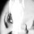 So We Meet Again My Heartache Melody Gardot Mp4