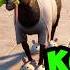 КОЗЕЛ ВЕРНУЛСЯ зря Goat Simulator 3