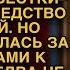 Ушлая свекровь едва не удавилась от гнева на пороге кабинета нотариуса