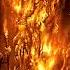 Viridus Burn In Despair