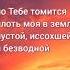 ЦАРЬ ДАВИД написал эти слова