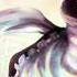 Sakuya S PoFV Theme Flowering Night