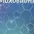 Биология 7 кл Пасечник 13 Моховидные