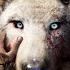 Ending The Snowblood Wolf S Reign Of Terror FarCry Primal