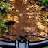 Singletrack Done Right Thornstar Thornhill BC