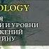 Физиология Сенсорные коррекции и уровни движений Н А Бернштейна