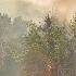 Team Coverage On The Forsyth Fire Burning Near Pine Valley