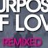 Purpose Of Love Harvee Remix