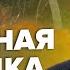 СВИТАН Шок ПУТИНА испугал ход ЗАЛУЖНОГО ВСУ идут на АРМЯНСК Базы НАТО на границе с РФ