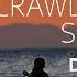 Where The Crawdads Sing By Delia Owens Immersive Reading Book Score Happy Reading