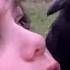 9 Year Old Is Best Friends With A Wild Magpie The Dodo