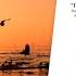 Stumbling On Happiness Best Audiobook Summary By Daniel Gilbert