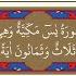 Yasin 2 Sayfa Hızlı Tekrar