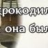 Он называл ее крокодил души моей а она была счастлива