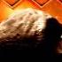 Doom Theme Remix Hangarmageddon E1M1 Rmx