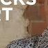 Father Of Biohacking Dave Asprey S Top 5 Biohacks To Upgrade Your Life