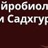 Как понять кто вы есть на самом деле