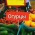 Цена на свежие огурцы Экомаркет Украина
