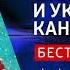 ЧТО ПОЧИТАТЬ Светлик Тучкин и украденные каникулы В Ледерман Книга онлайн скачать