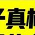 公光明系列 01 小燕子真相揭晓 希拉里的白手套